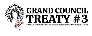 Grand council treaty 3 logo