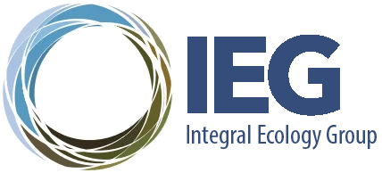 Integral Ecology Group logo